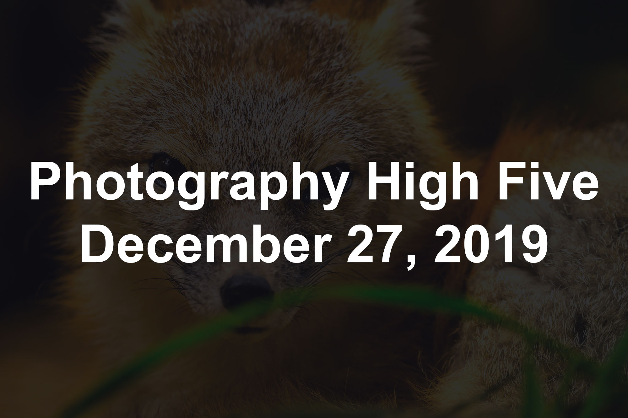 Photography High Five December 27, 2019